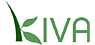 Kiva.org